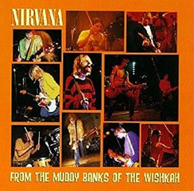 From The Muddy Banks Of The Wishkah - Nirvana