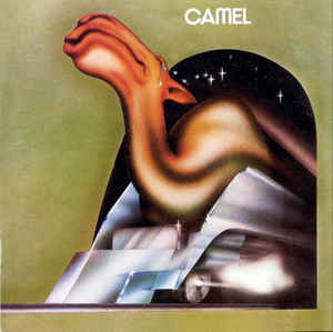 Camel