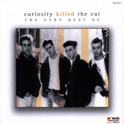 The Very Best Of - Curiosity Killed The Cat