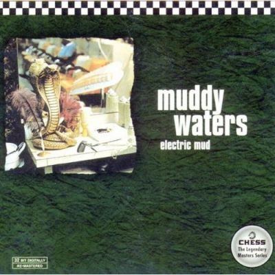 Electric Mud - Muddy Waters