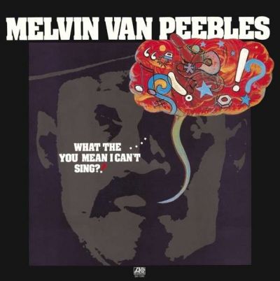 What The . . . . You Mean I Can't Sing?! - Melvin Van Peebles