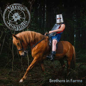 Brothers In Farms - Steve'n'Seagulls