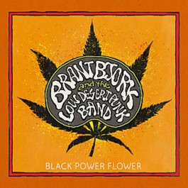 Black Power Flower - Brant Bjork