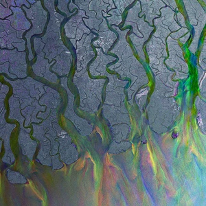 An Awesome Wave - Alt-J