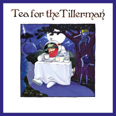 Tea For The Tillerman² - Yusuf / Cat Stevens