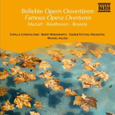 Famous Opera Overtures - Various Artists