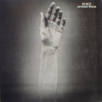 Up In It - Afghan Whigs