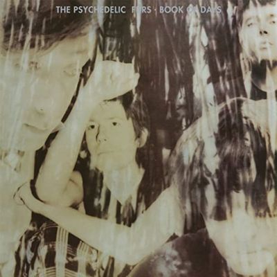 Book Of Days - The Psychedelic Furs 