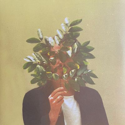 French Kiwi Juice - FKJ