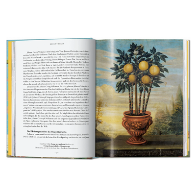 J. C. Volkamer. The Book of Citrus Fruits. 45th Ed. [Taschen] - 