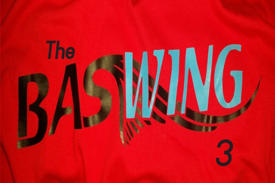 Bend The Baswing objavio novi album "The Baswing 3"!