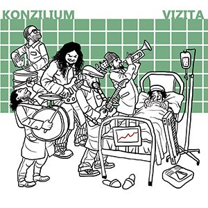 Konzilium Vizita